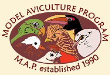 Map logo